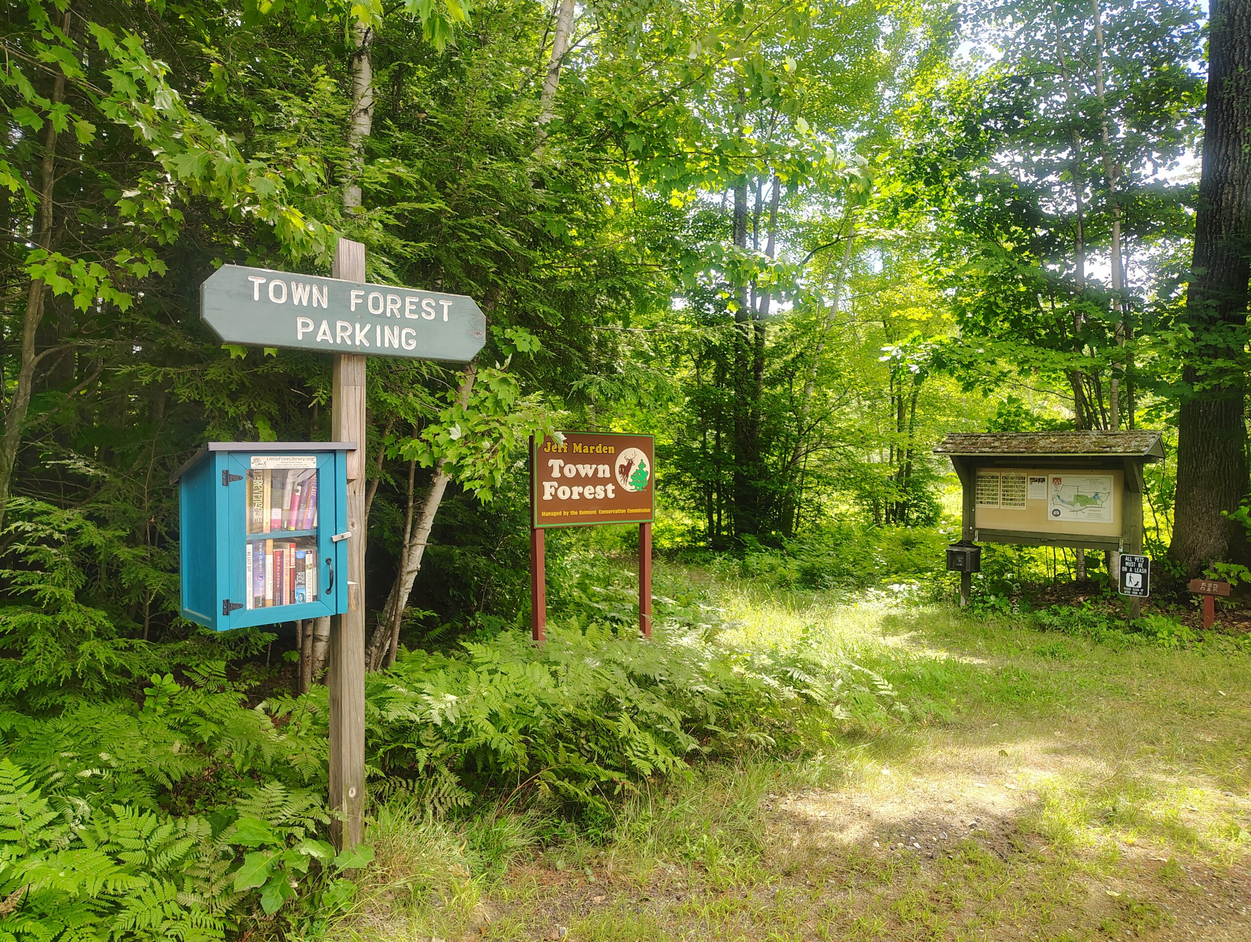 Little Free Library next to town forest
